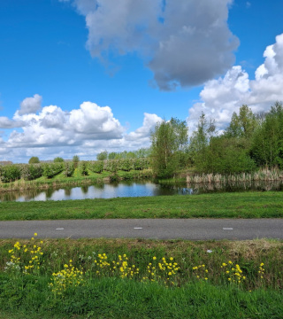 Image00018